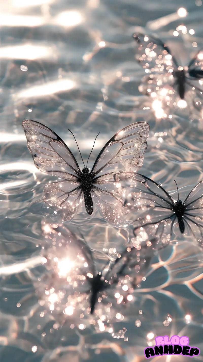 Bộ hình hình nền bướm sắc nét