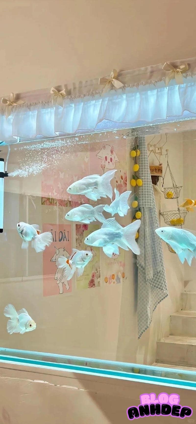 Bộ hình nền background phiên bản ấn tượng