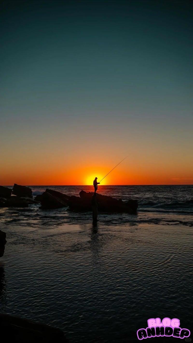 Bộ hình nền câu cá sắc nét