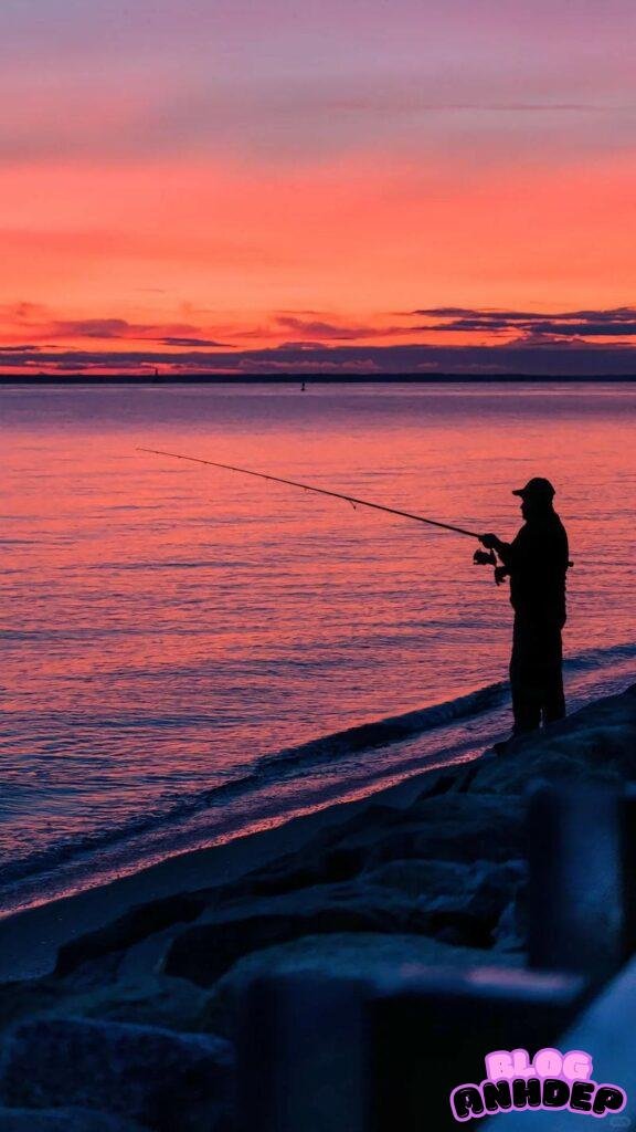 Bộ hình nền câu cá thu hút