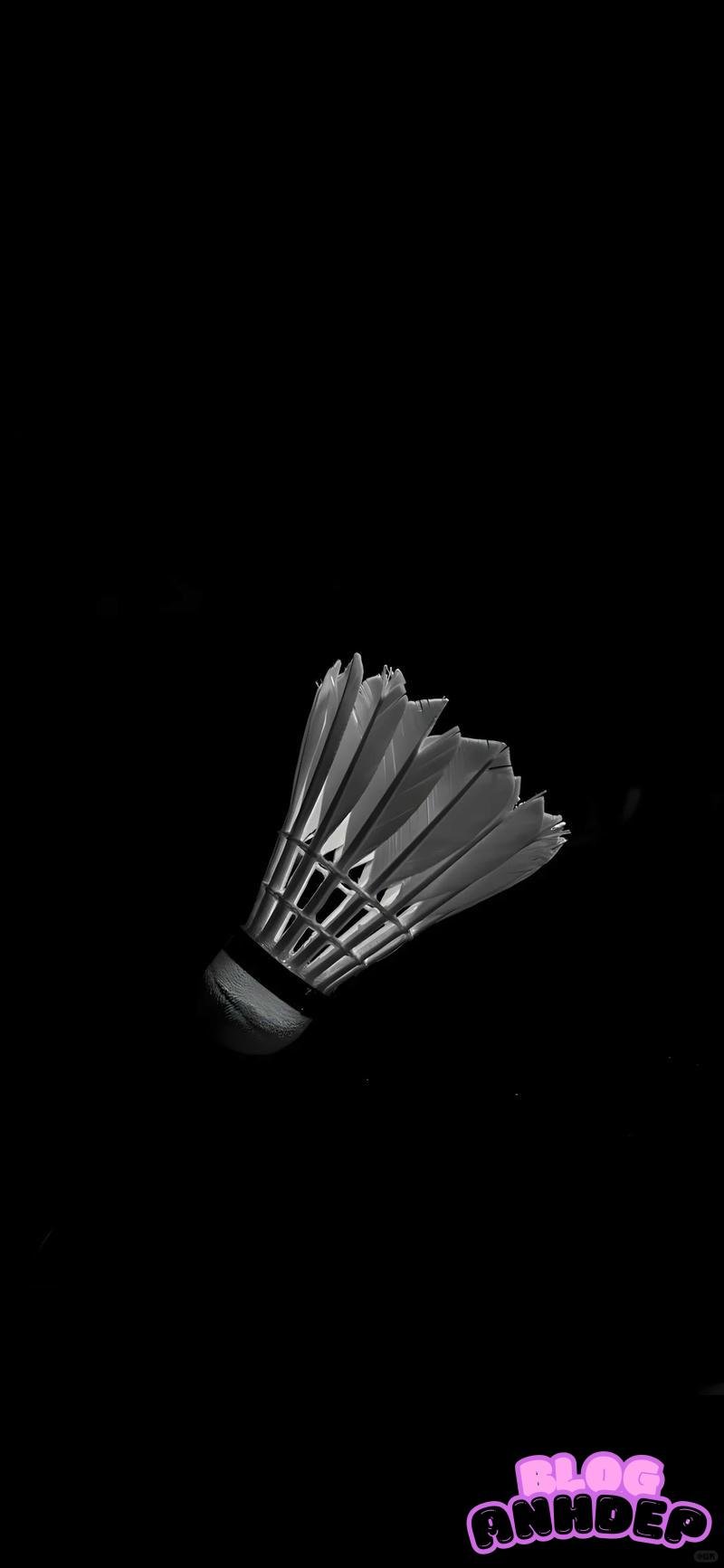 Bộ hình nền cầu lông cuốn hút