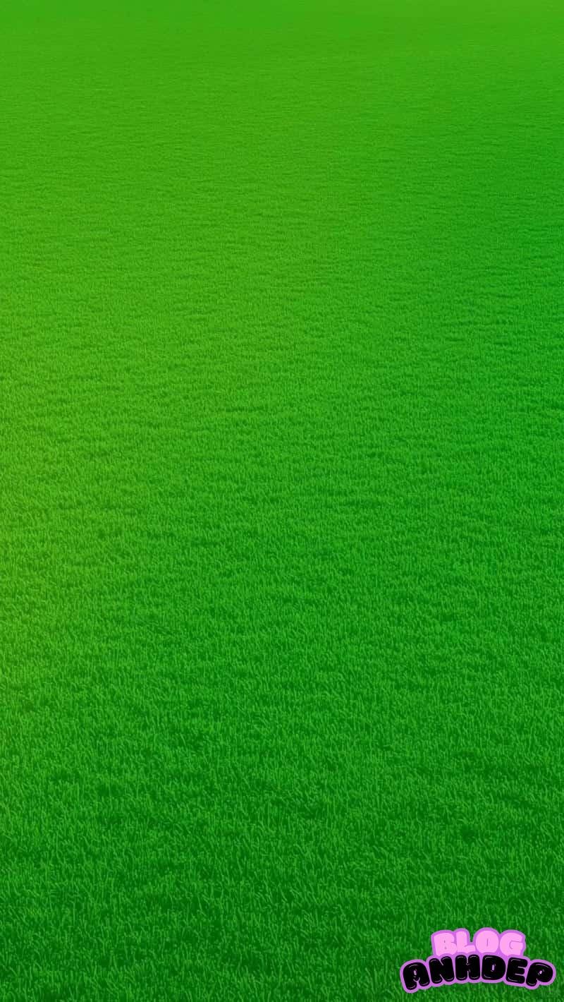 Bộ hình nền cỏ thu hút