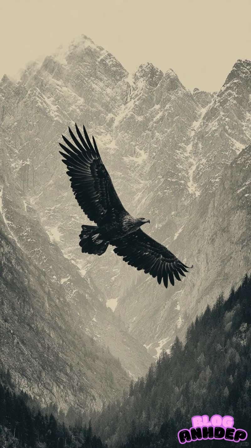 Bộ hình nền đại bàng cuốn hút