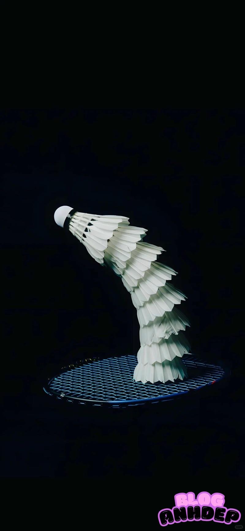 Bộ sưu tập ảnh hình nền cầu lông đẹp