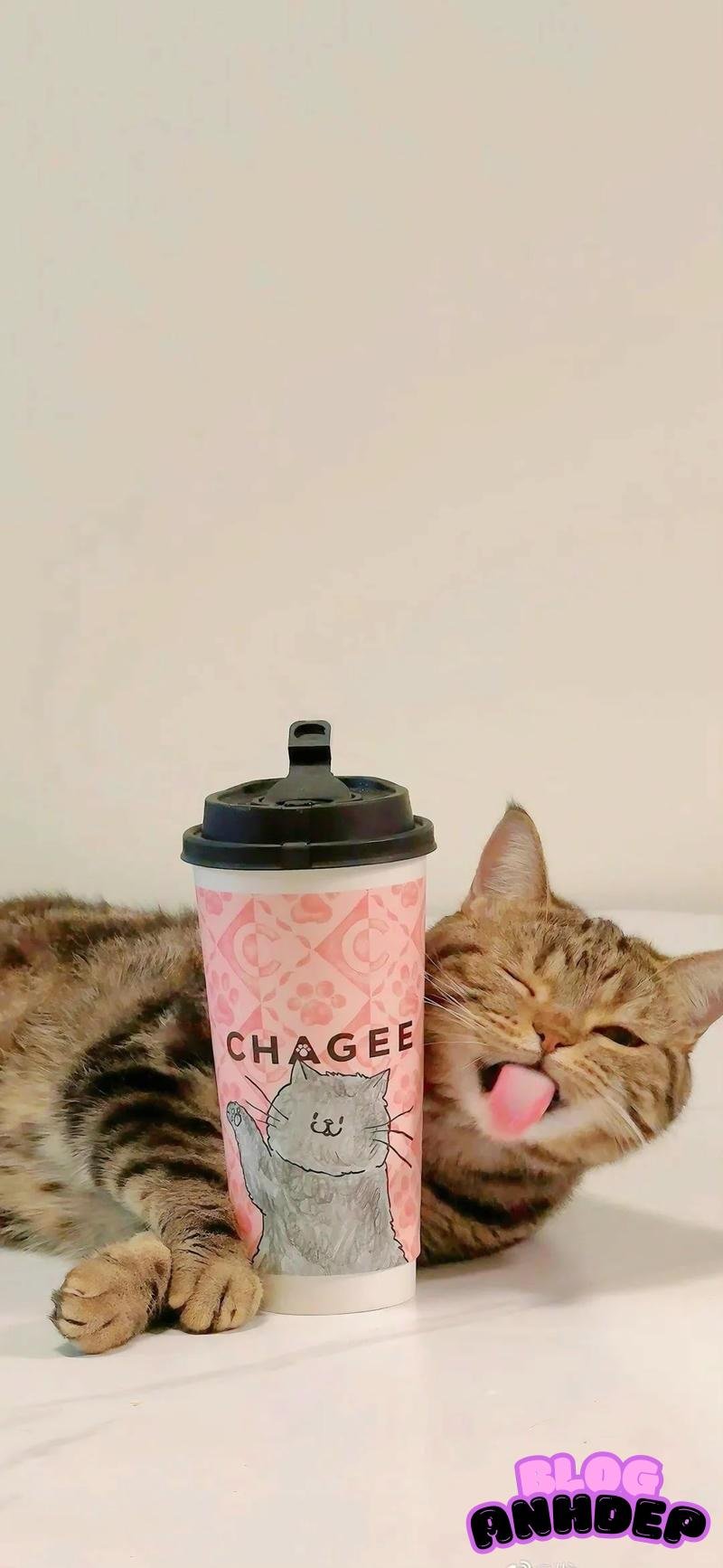 Bộ sưu tập ảnh hình nền con vật đẹp