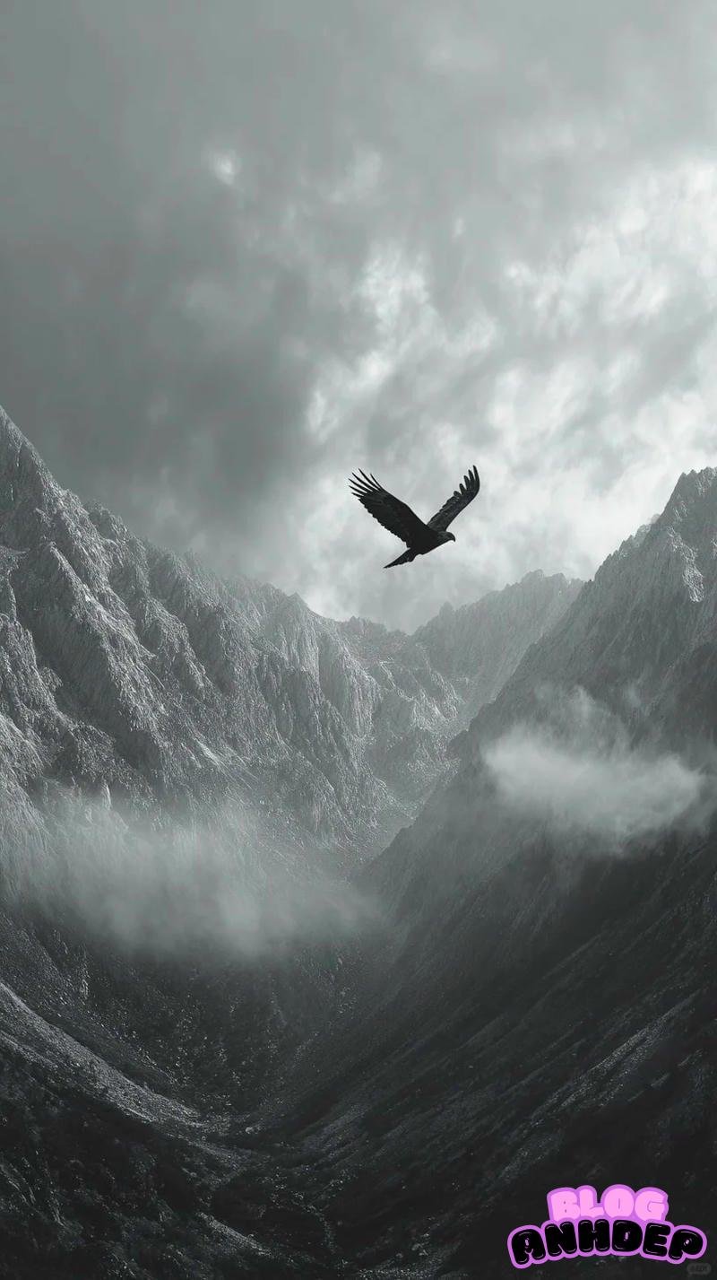 Bộ sưu tập ảnh hình nền đại bàng đẹp