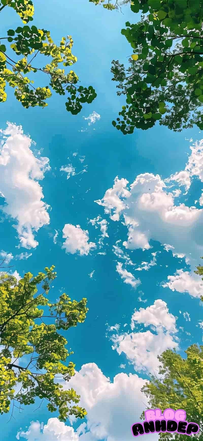 Bộ sưu tập hình nền 2k cao cấp