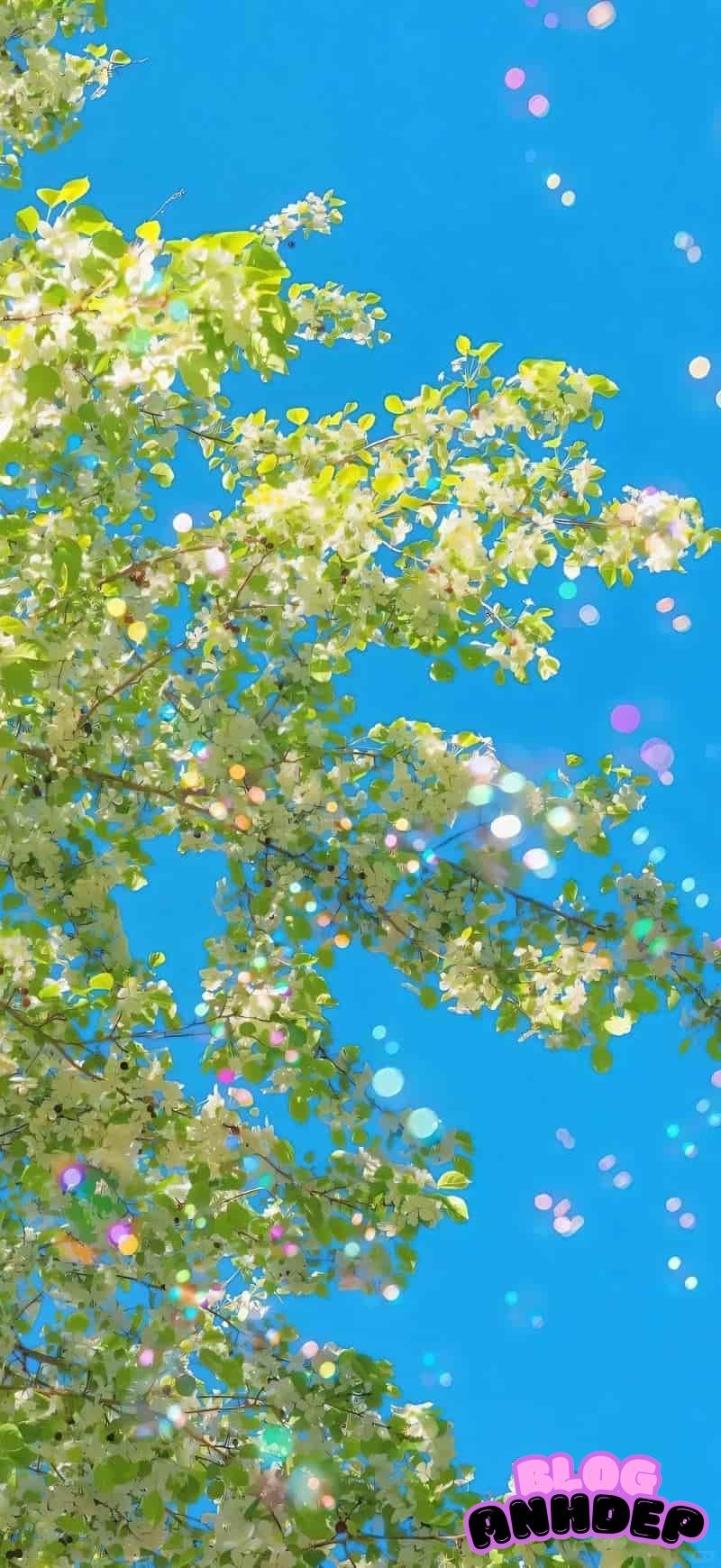 Bộ sưu tập hình nền 3d chất lượng