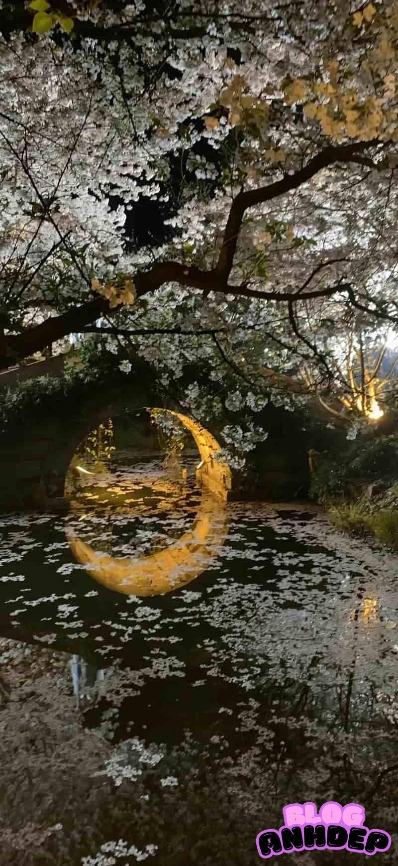 Bộ sưu tập hình nền 3d mới nhất