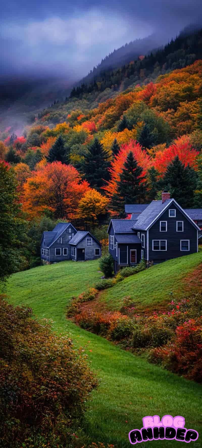 Bộ sưu tập hình nền 8k nghệ thuật