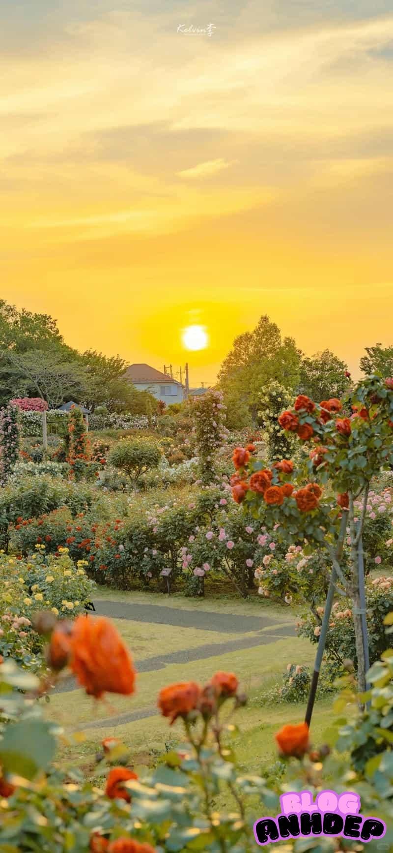 Bộ sưu tập hình nền android nghệ thuật