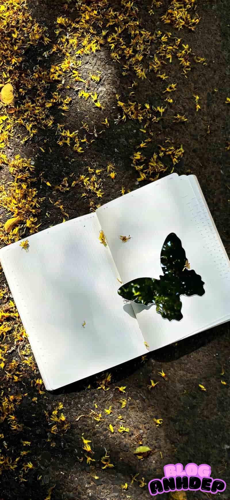 Bộ sưu tập hình nền apple cuốn hút