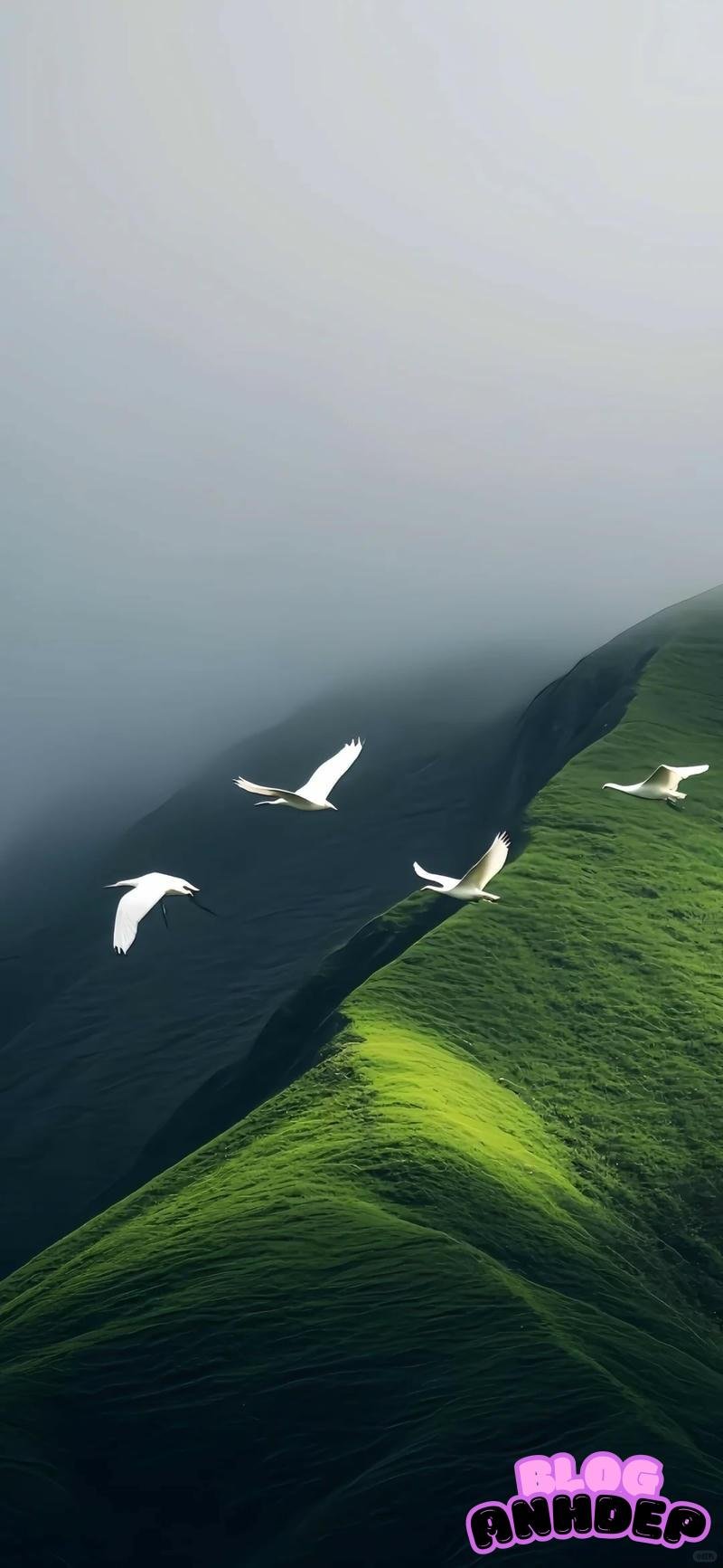 Bộ sưu tập hình nền bình yên