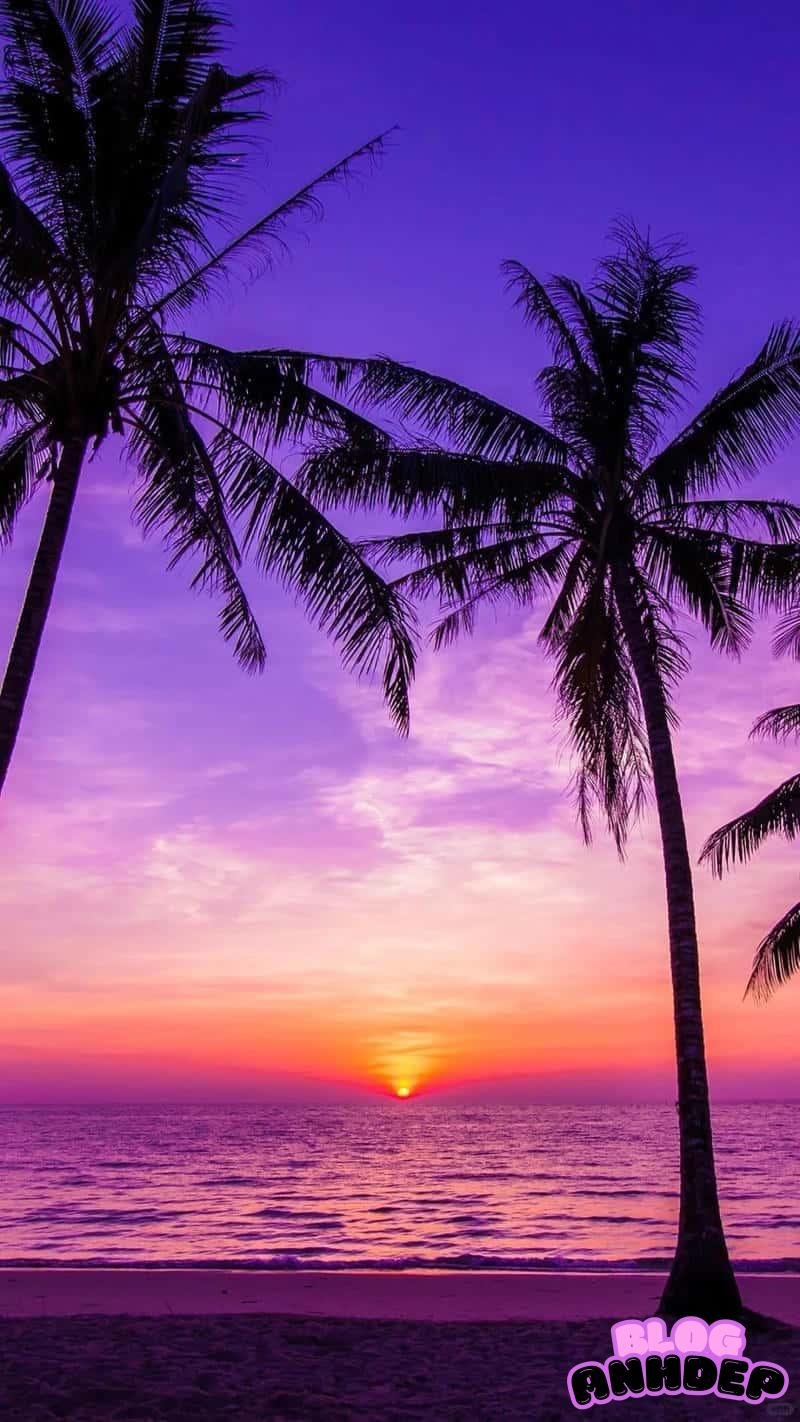 Bộ sưu tập hình nền cảnh đẹp thiên nhiên mới