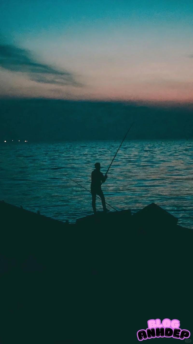 Bộ sưu tập hình nền câu cá đẹp