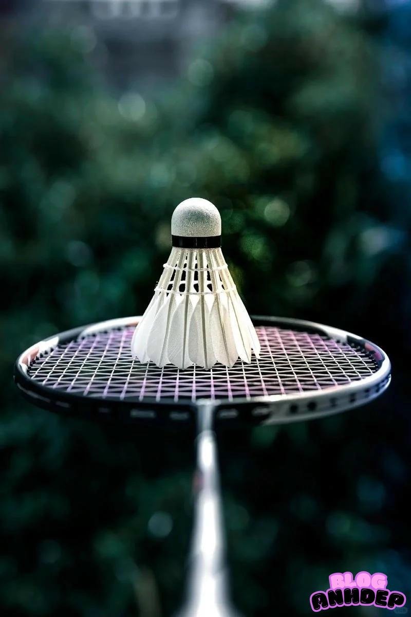 Bộ sưu tập hình nền cầu lông đẹp