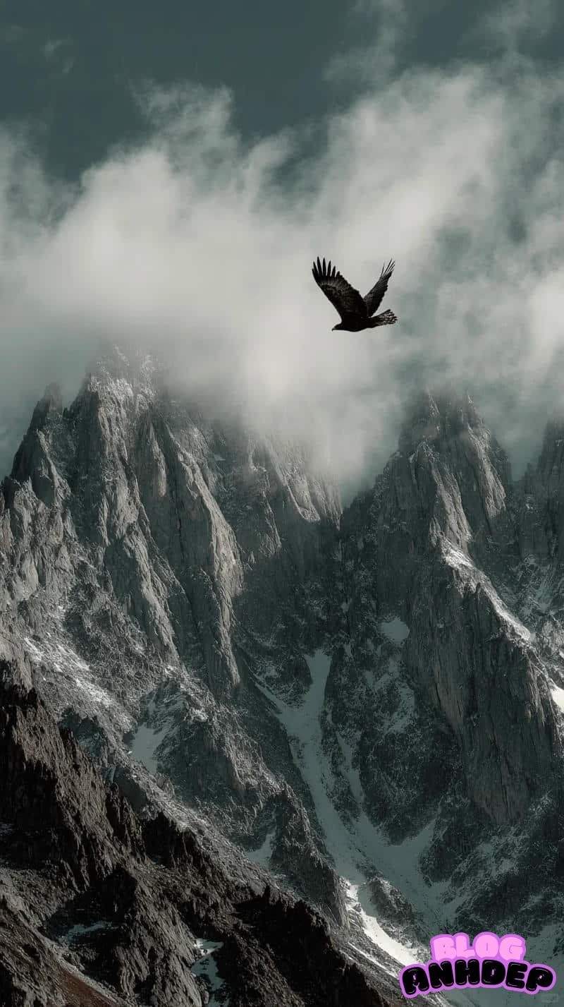 Bộ sưu tập hình nền đại bàng mới