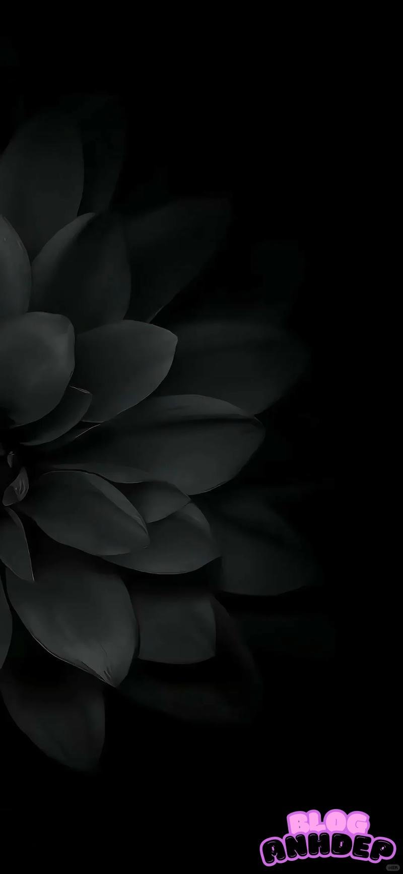 Bộ sưu tập hình nền đám tang đẹp