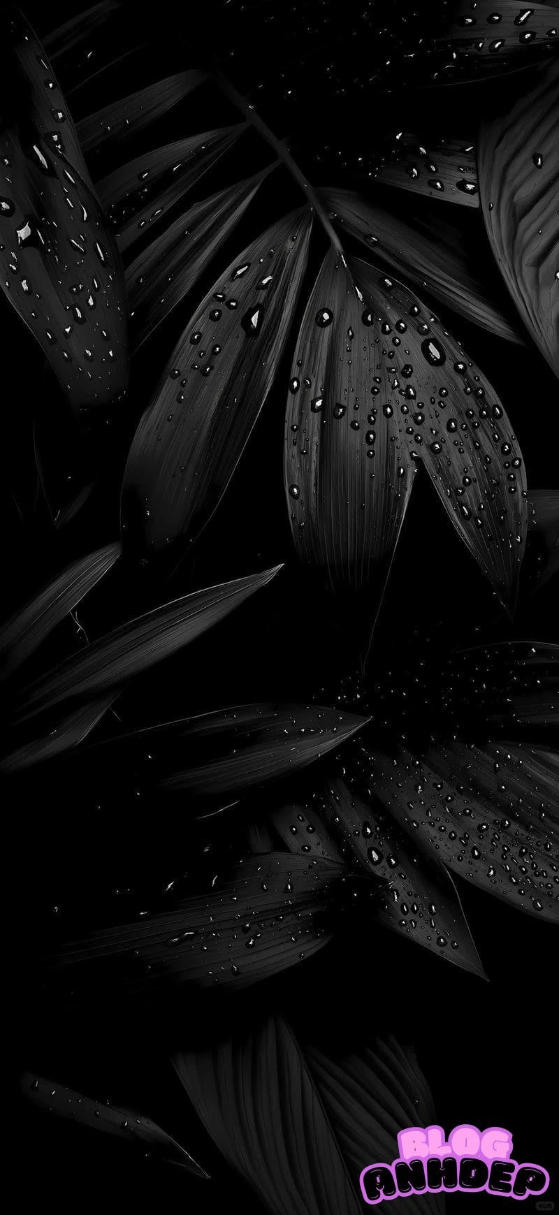 Bộ sưu tập hình nền đen đẹp