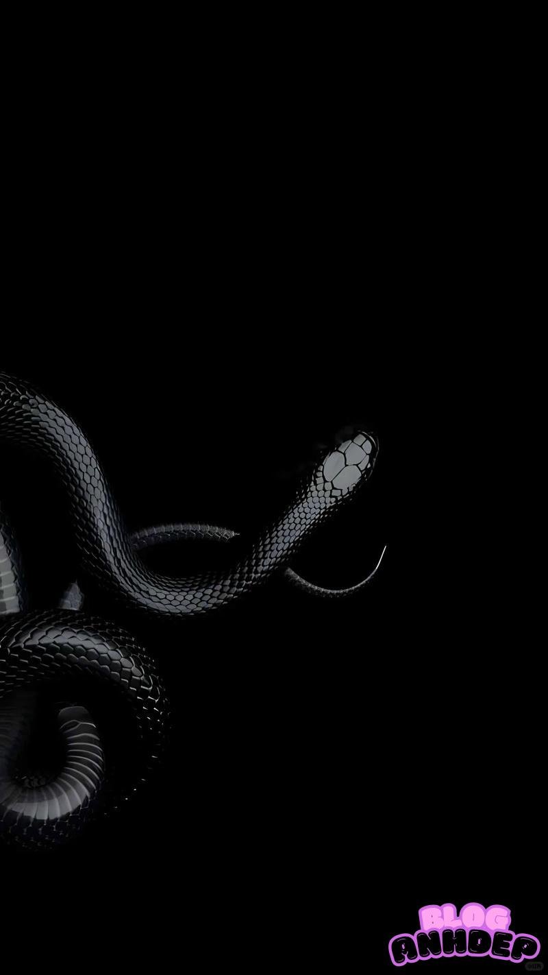 Bộ sưu tập hình nền đen mới nhất