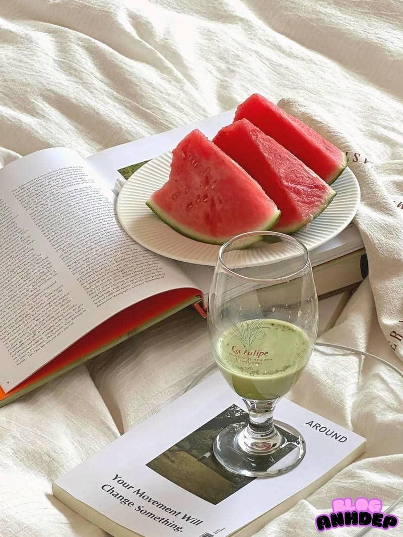 Bộ sưu tập hình nền dưa gấu mới nhất