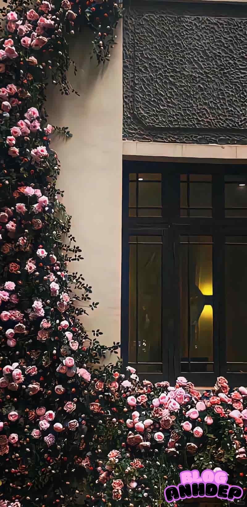 Bộ thịnh hành hình nền bông hoa