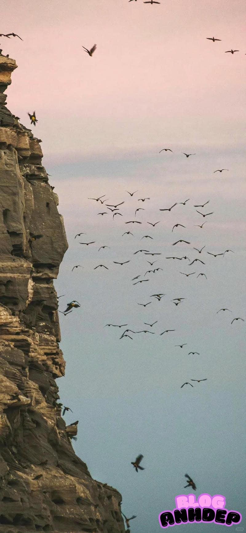 Chia sẻ hình nền bình yên