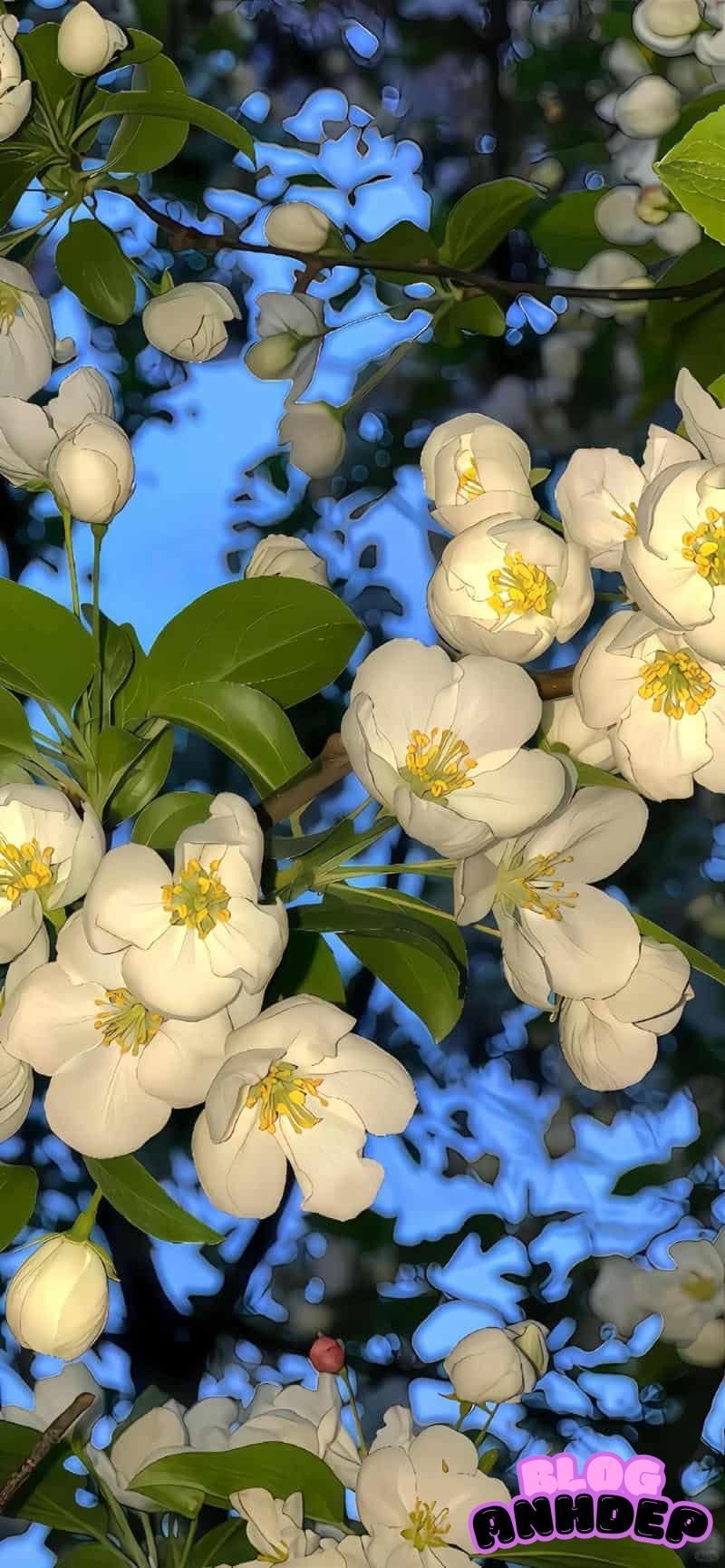 Chụp ảnh hình nền 3D 4k tinh xảo