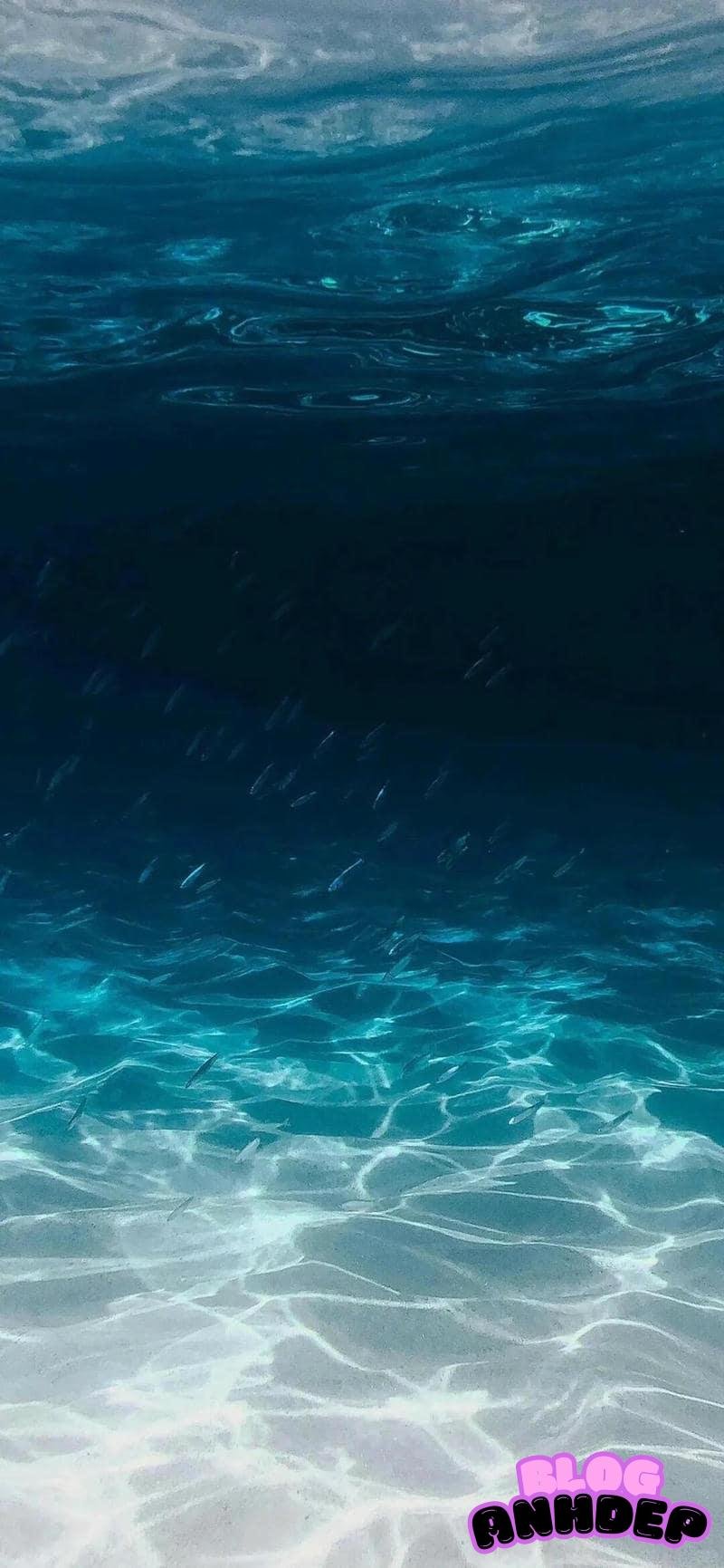 Chụp ảnh hình nền biển