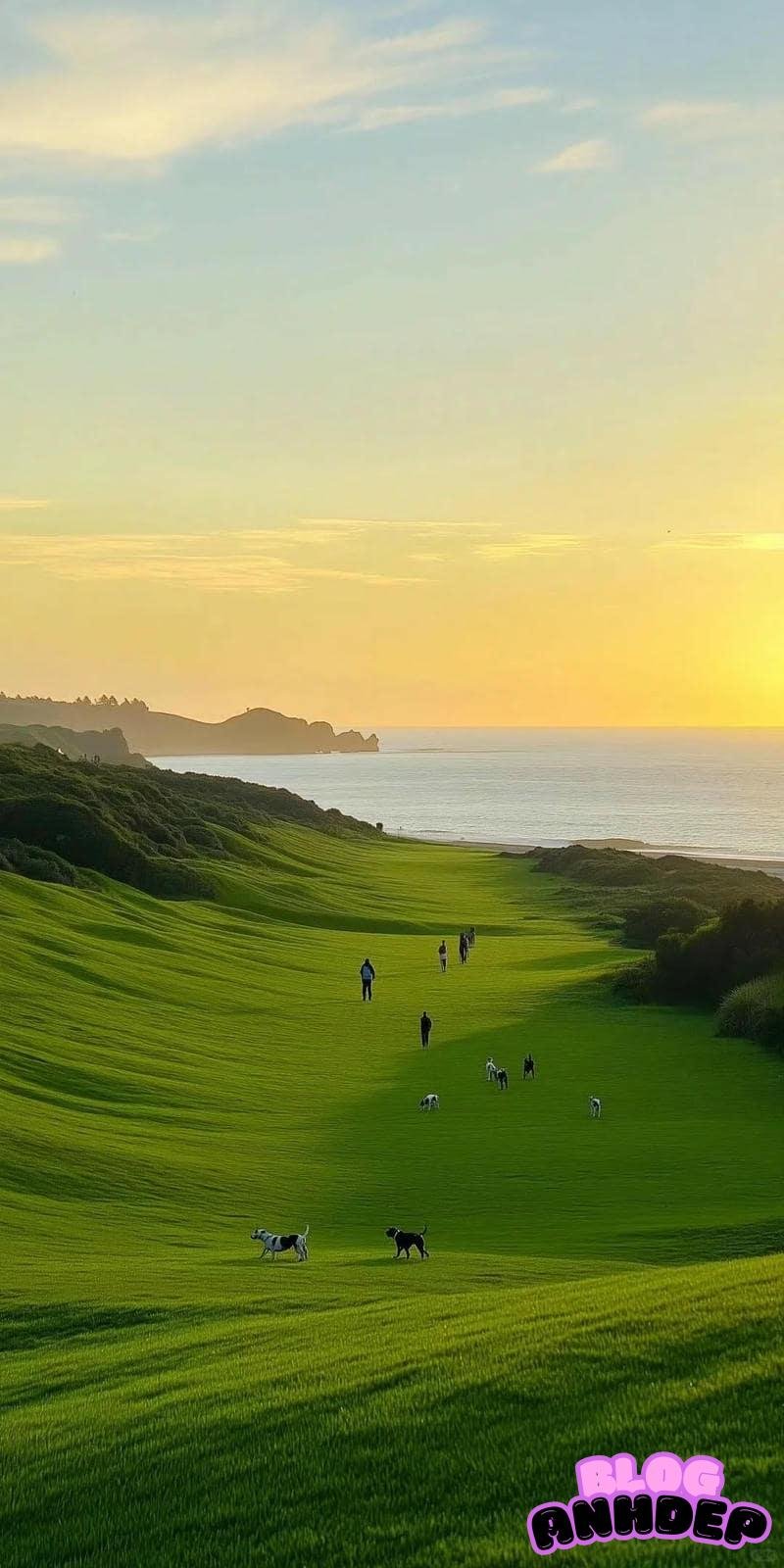 Chụp ảnh hình nền bình yên nhẹ nhàng