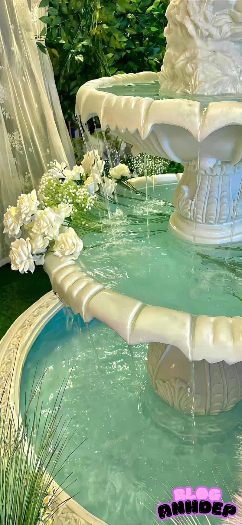 Chụp hình nền background góc đẹp