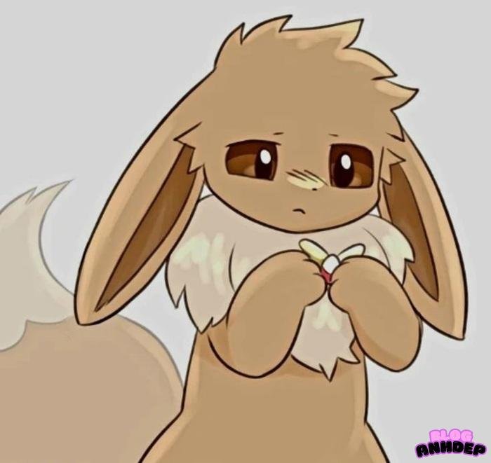 Eevee cute