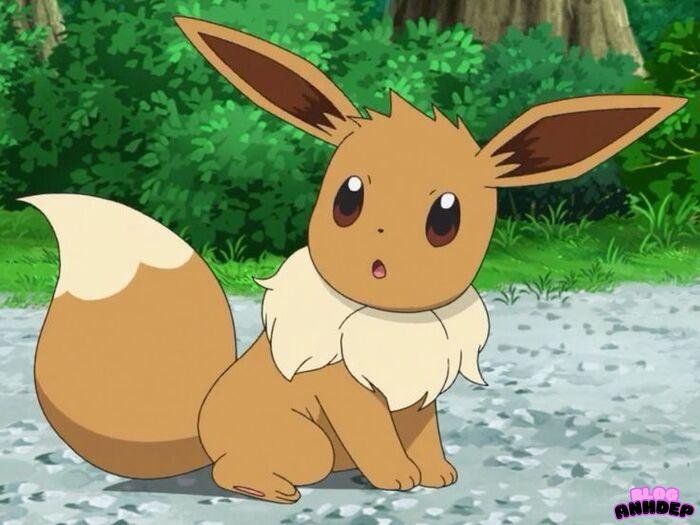 Eevee đáng yêu nhất