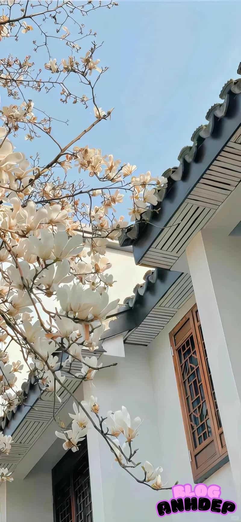 Hình ảnh hình nền 3D 4k độc đáo