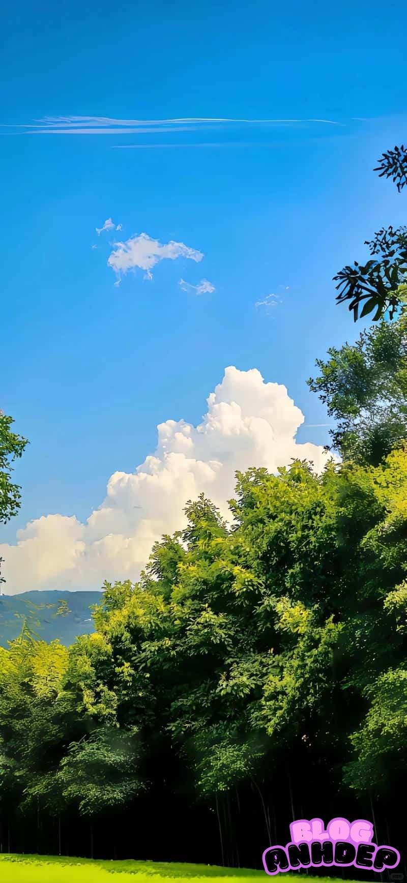 Hình nền 8k cuốn hút