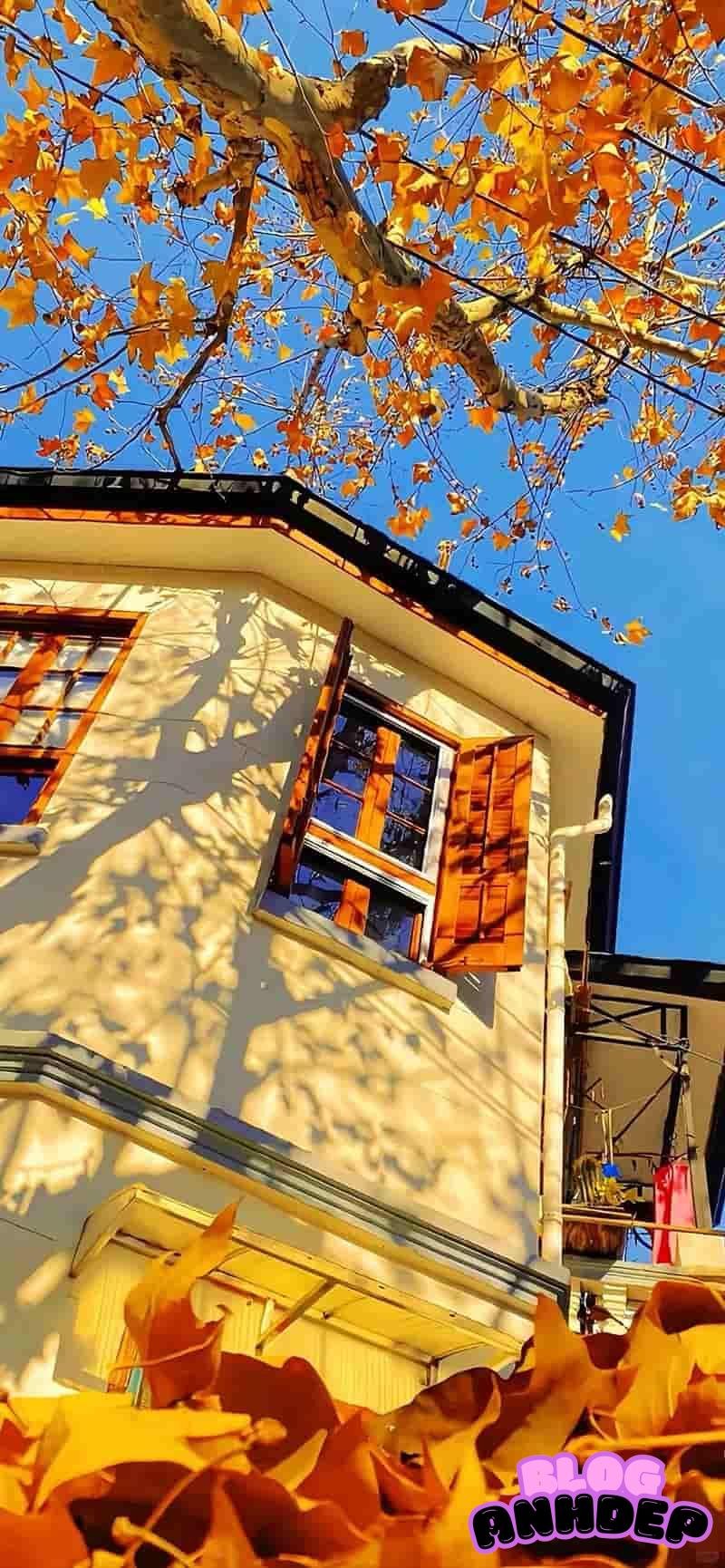 Hình nền 8k sắc sảo