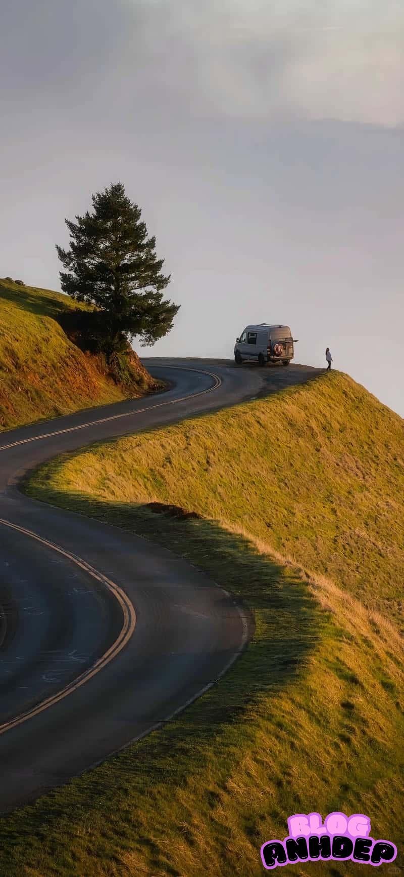 Hình nền 8k thu hút