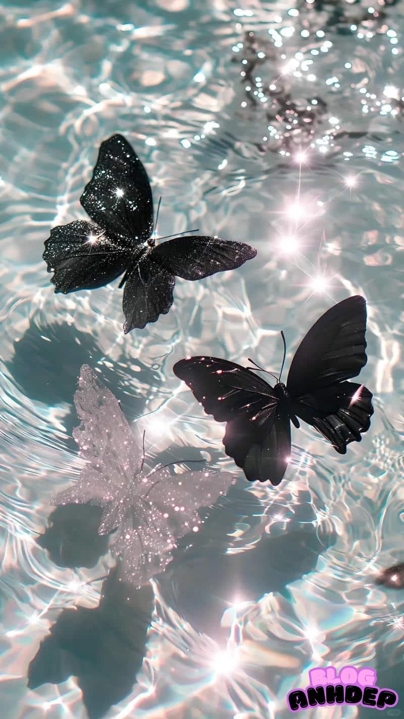 Khám phá hình nền bướm cuốn hút