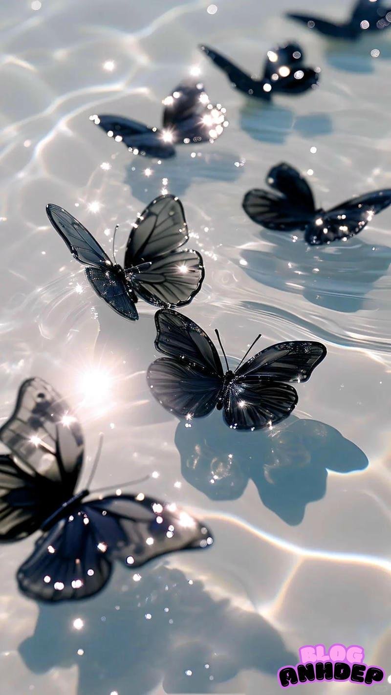Khám phá hình nền bướm đẹp