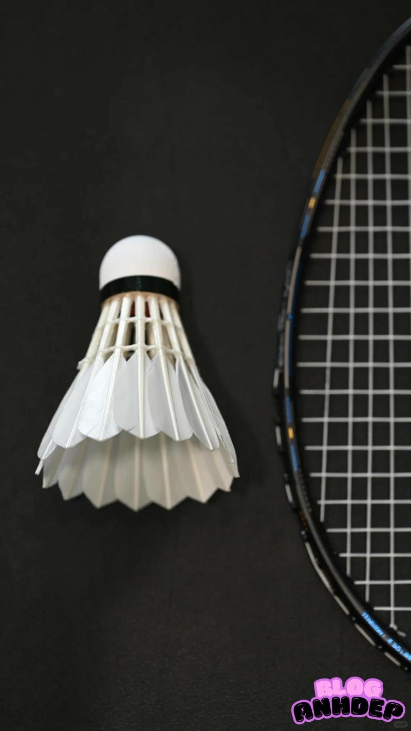 Khám phá hình nền cầu lông cuốn hút