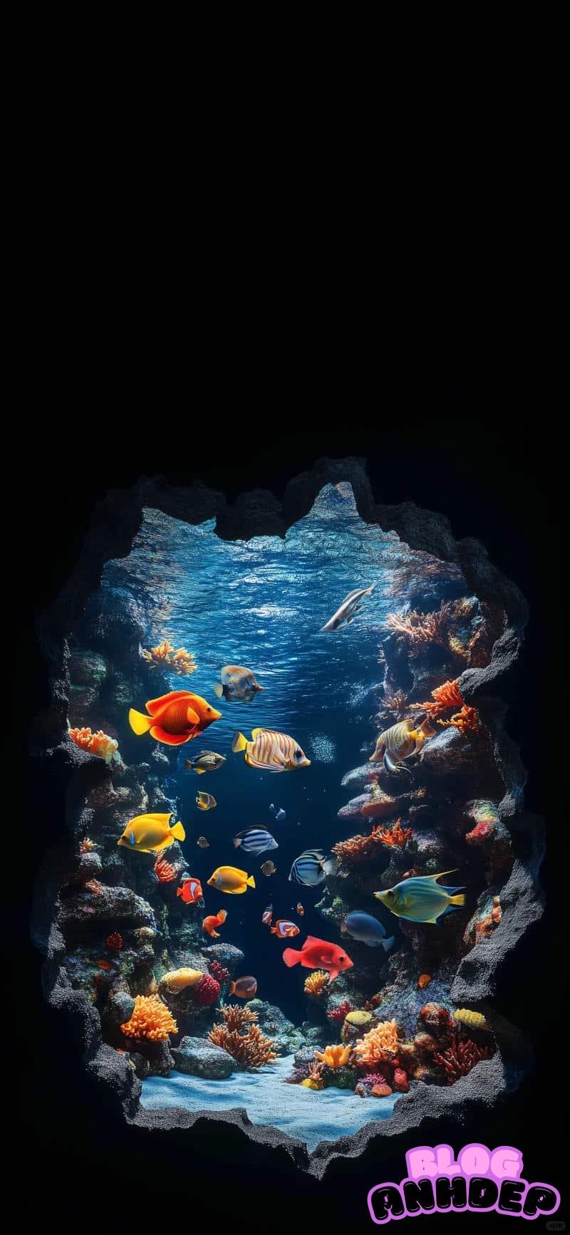 Khám phá hình nền đại dương cuốn hút