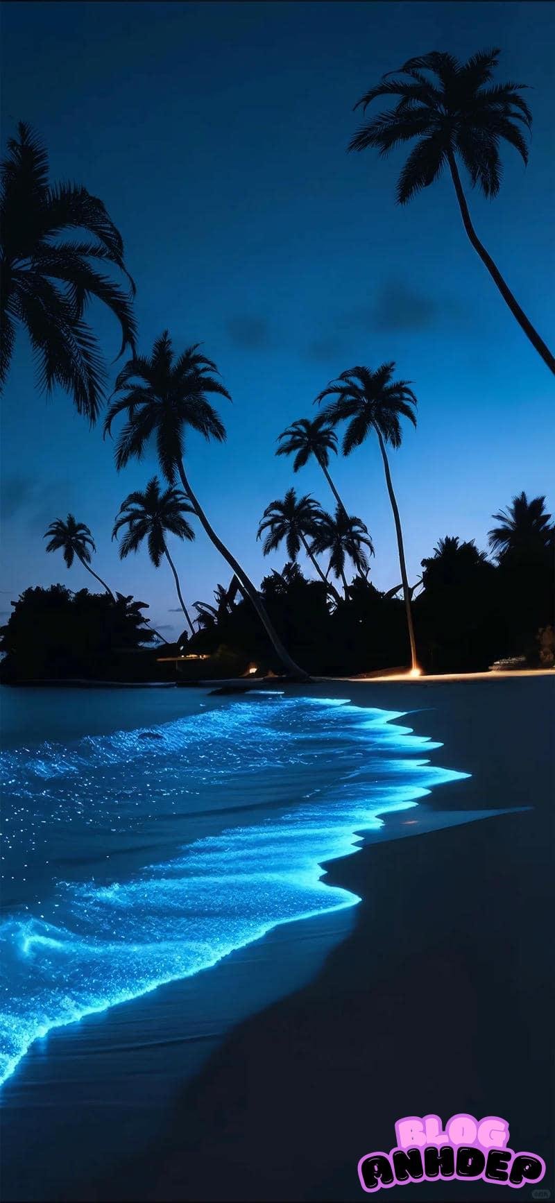 Khám phá hình nền đại dương đẹp