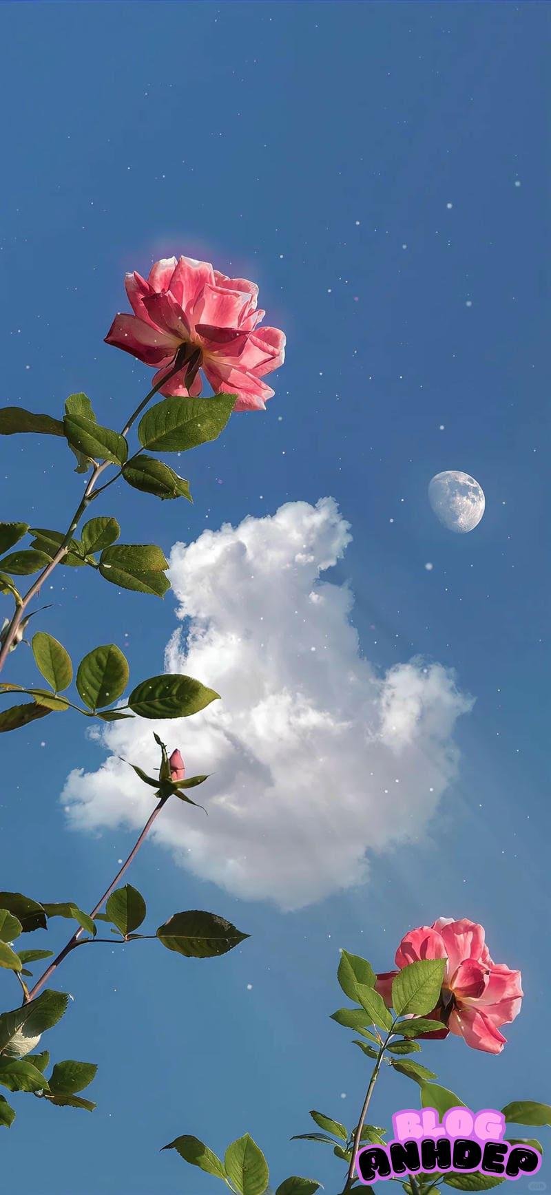 Khám phá hình nền đám mây đẹp