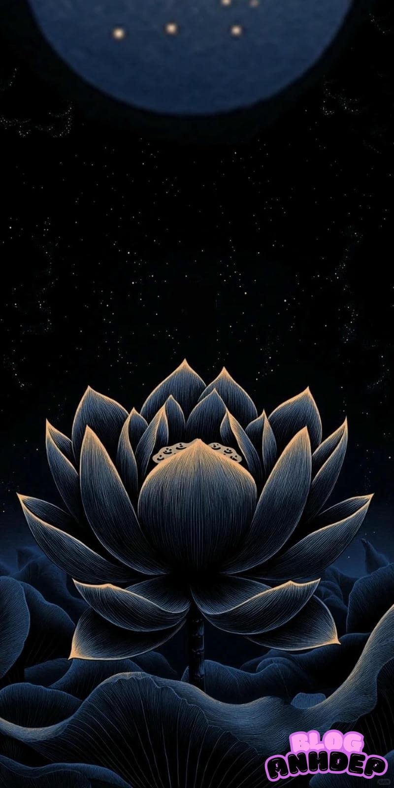 Khám phá hình nền đám tang đẹp