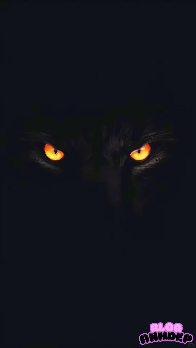 Khám phá hình nền đen cuốn hút