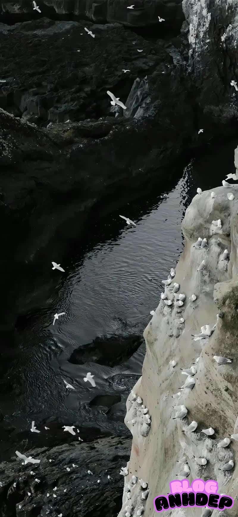 Khám phá hình nền đen trắng cuốn hút