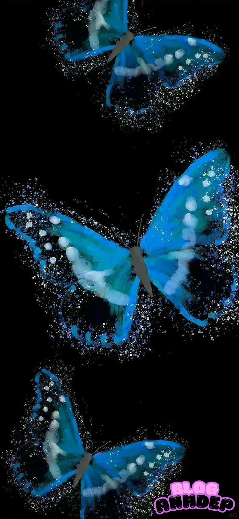 Khám phá kho hình nền bướm mới nhất