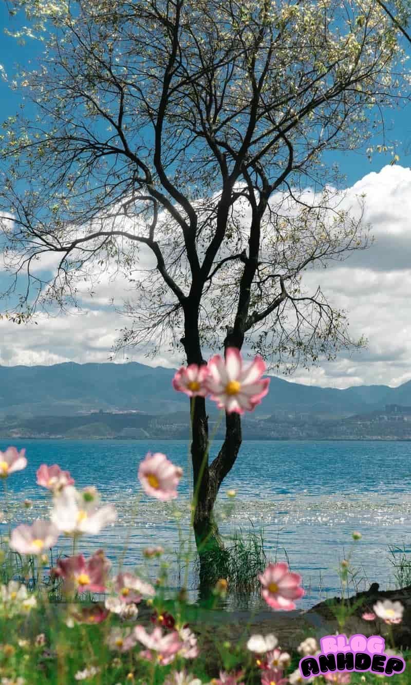 Khám phá kho hình nền cảnh đẹp thiên nhiên mới nhất