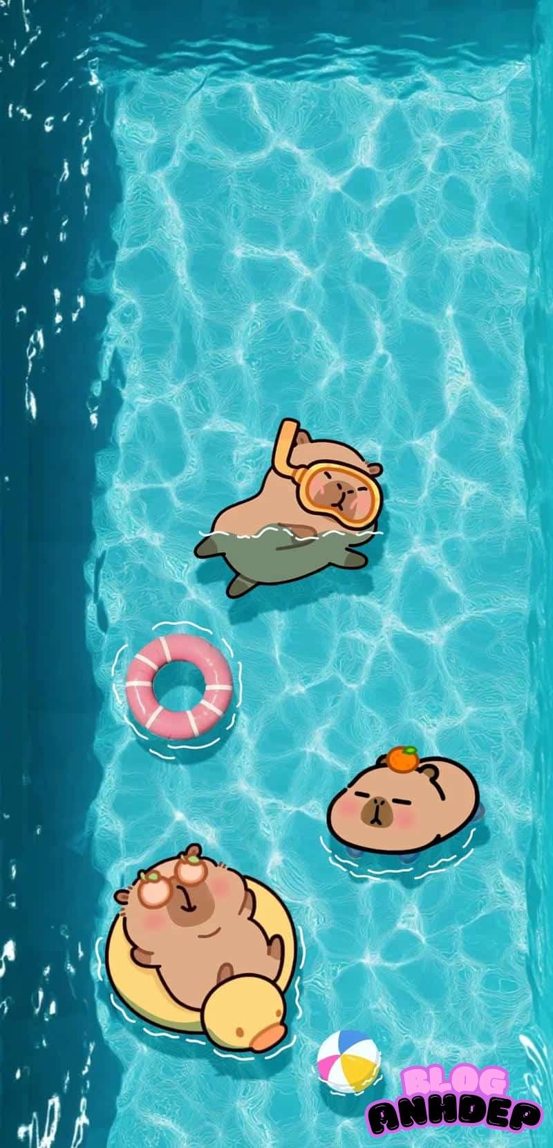 Khám phá kho hình nền capypara mới nhất