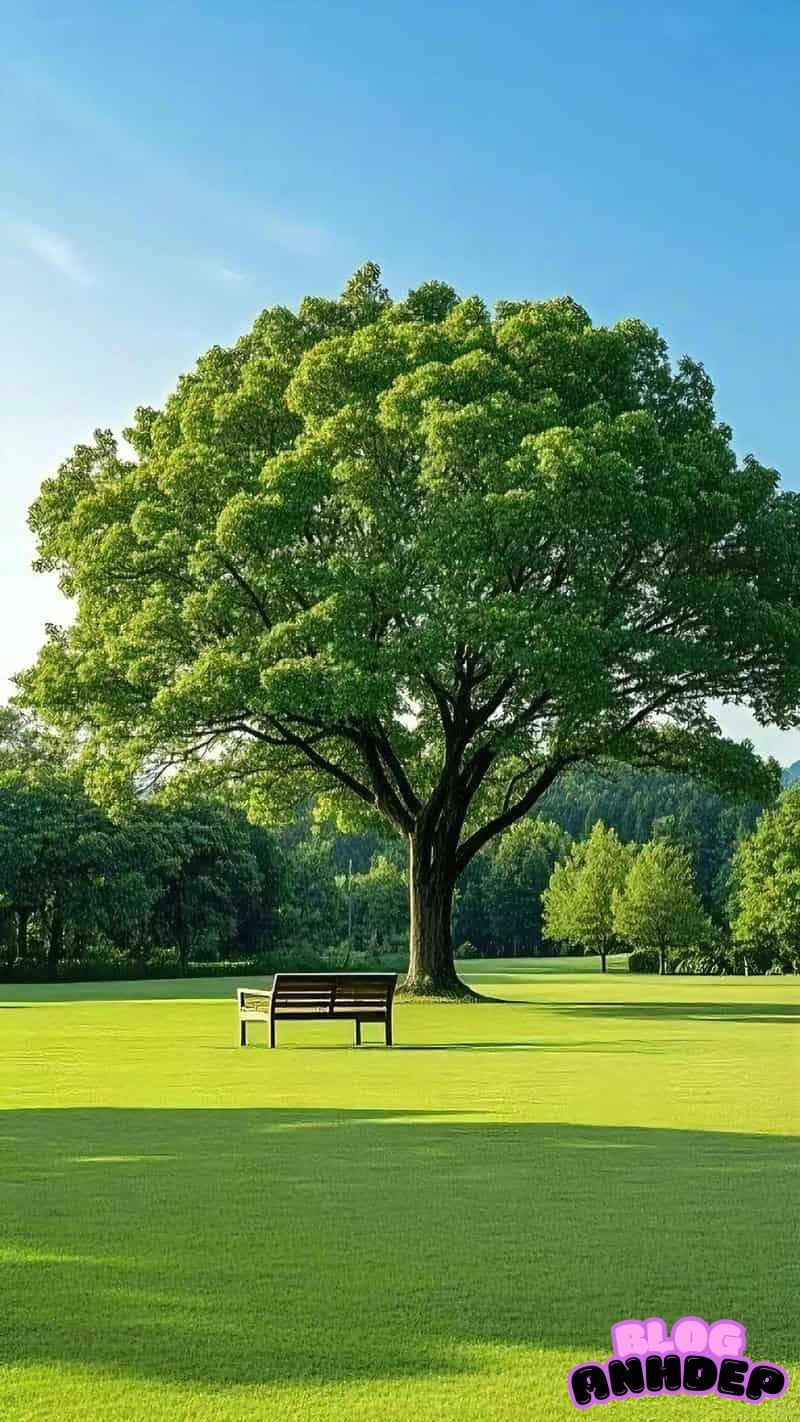 Khám phá kho hình nền cây xanh mới nhất